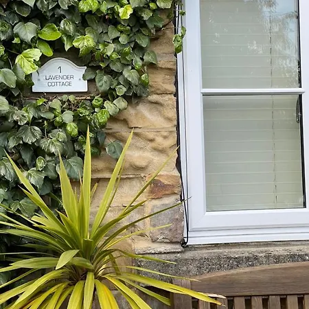 Lavender Cottage , Grewelthorpe , Nr Masham Ripon Exterior photo