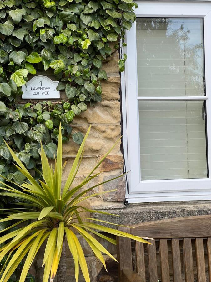 Lavender , Grewelthorpe , Nr Masham * Ripon