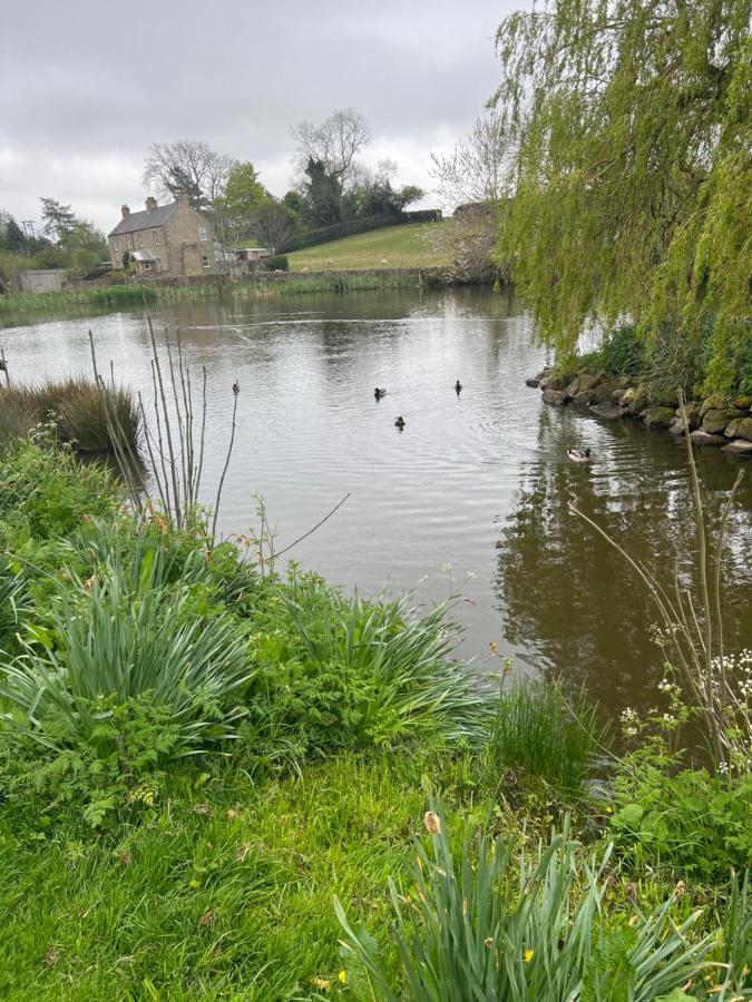 Lavender , Grewelthorpe , Nr Masham Holiday home Ripon