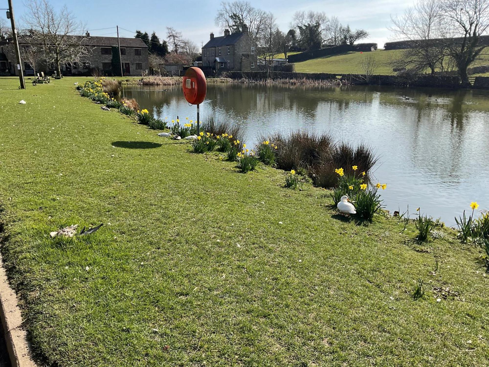 Lavender , Grewelthorpe , Nr Masham * Ripon