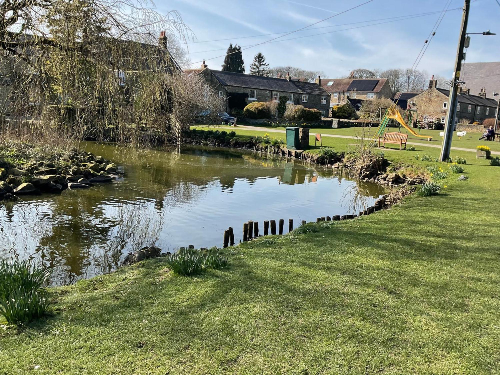 Lavender , Grewelthorpe , Nr Masham * Ripon